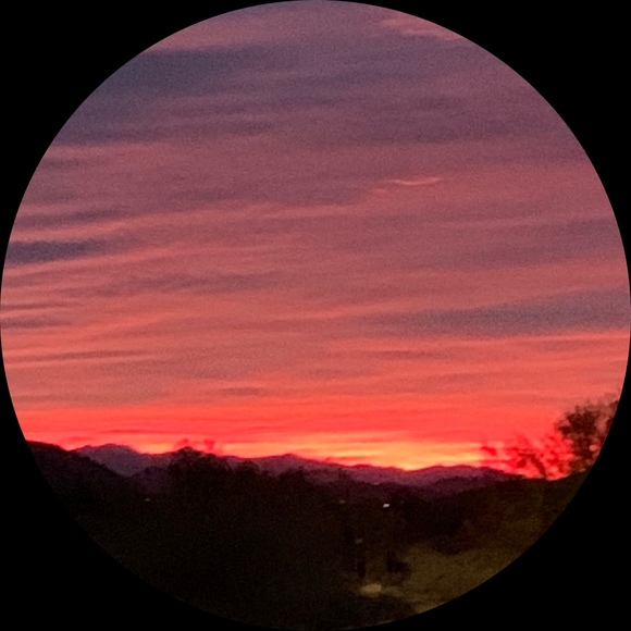 arizonagus21